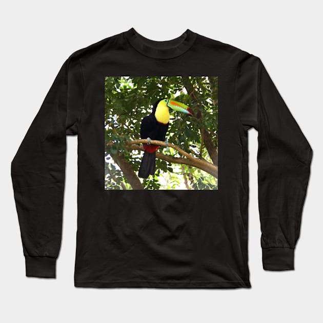 Keel-billed Toucan Long Sleeve T-Shirt by Carole-Anne